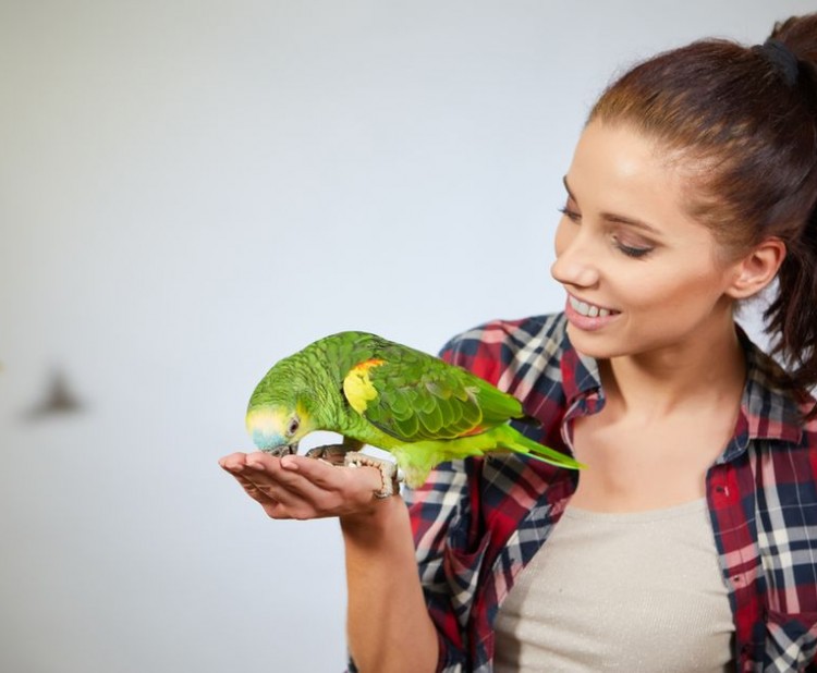 Jak s námi papoušci komunikují? 1. část